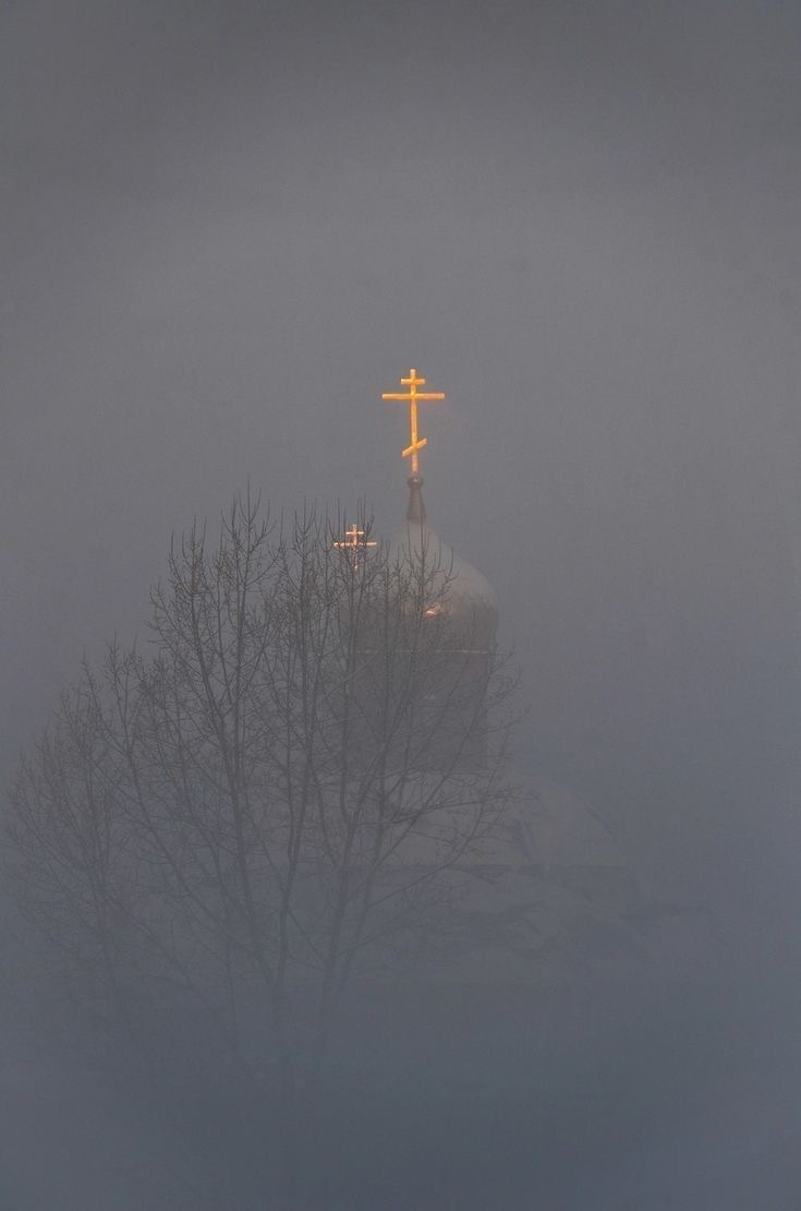 фото из Сети