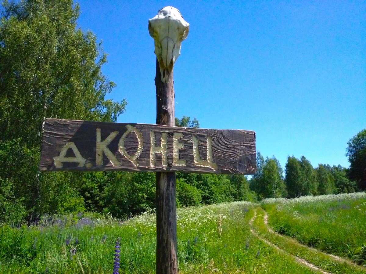 54.771044, 32.339154