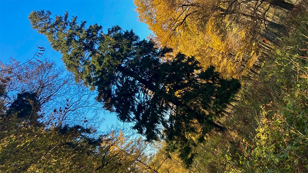 фотка не моя... 