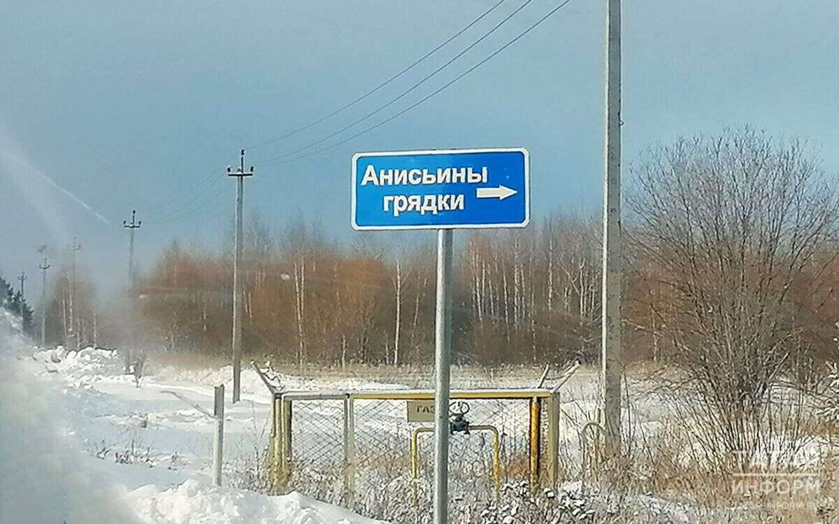 ​Анисьины грядки под Казанью – святое место для православных. Фото: © Елена Фенина / «Татар-информ»