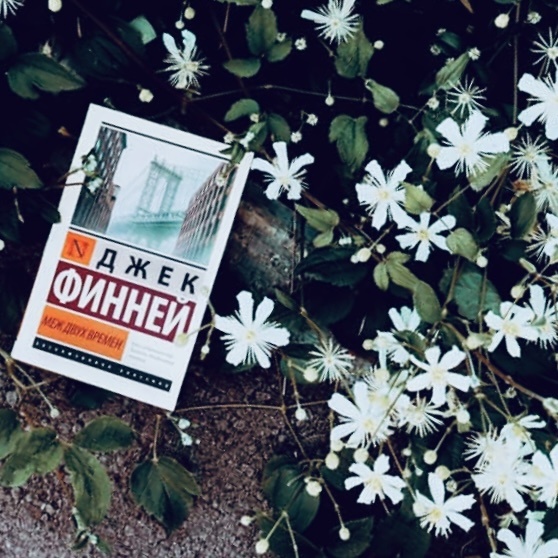 «…самое сильное чувство, движущее родом человеческим, сильнее чувства голода и чувства любви, – это любопытство, неодолимое желание узнавать…».