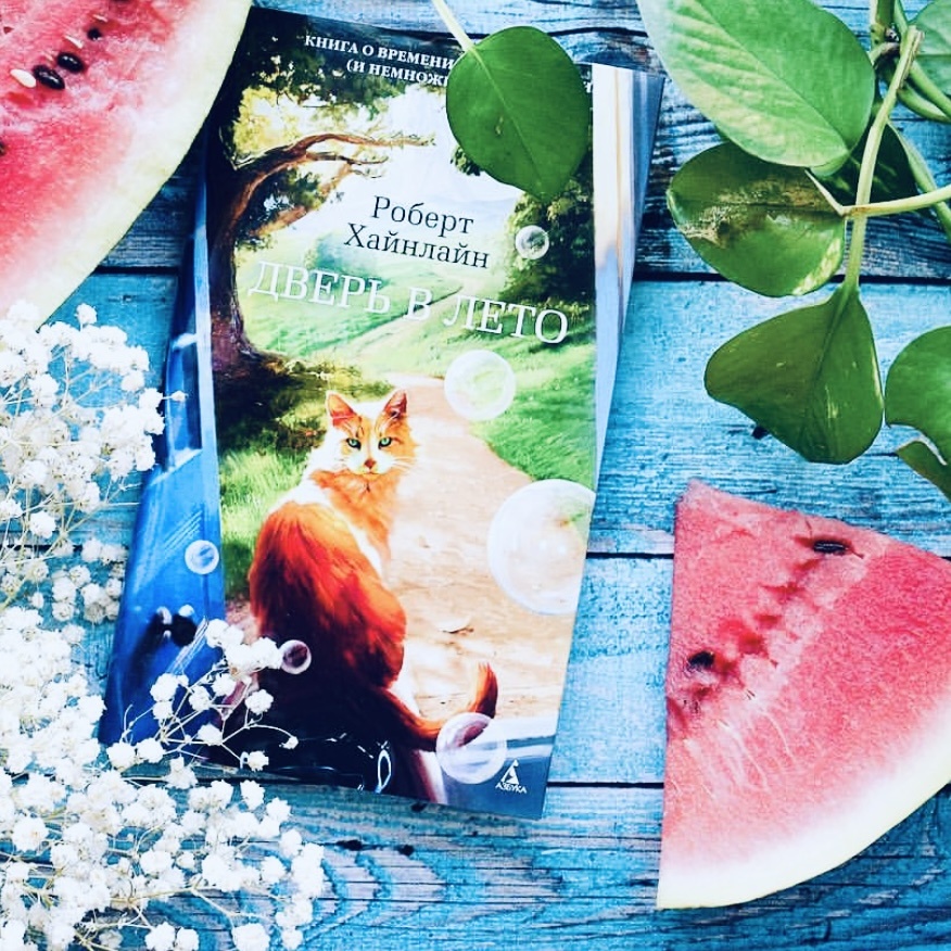 «Слишком много времени я затратил, открывая дверь котам. Как-то я подсчитал, что с момента своего появления человечество провело за этим занятием девятьсот семьдесят восемь человеко-столетий. Могу показать выкладки».