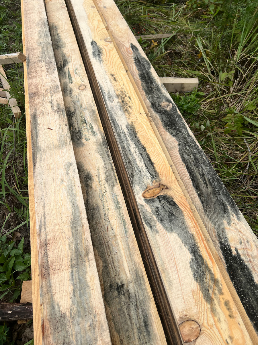 Доски с плесенью были в центре пакета