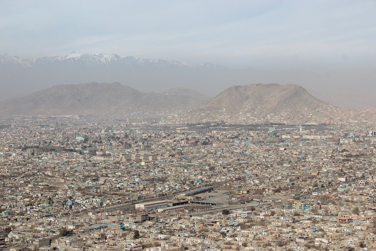 Фото из Яндекса