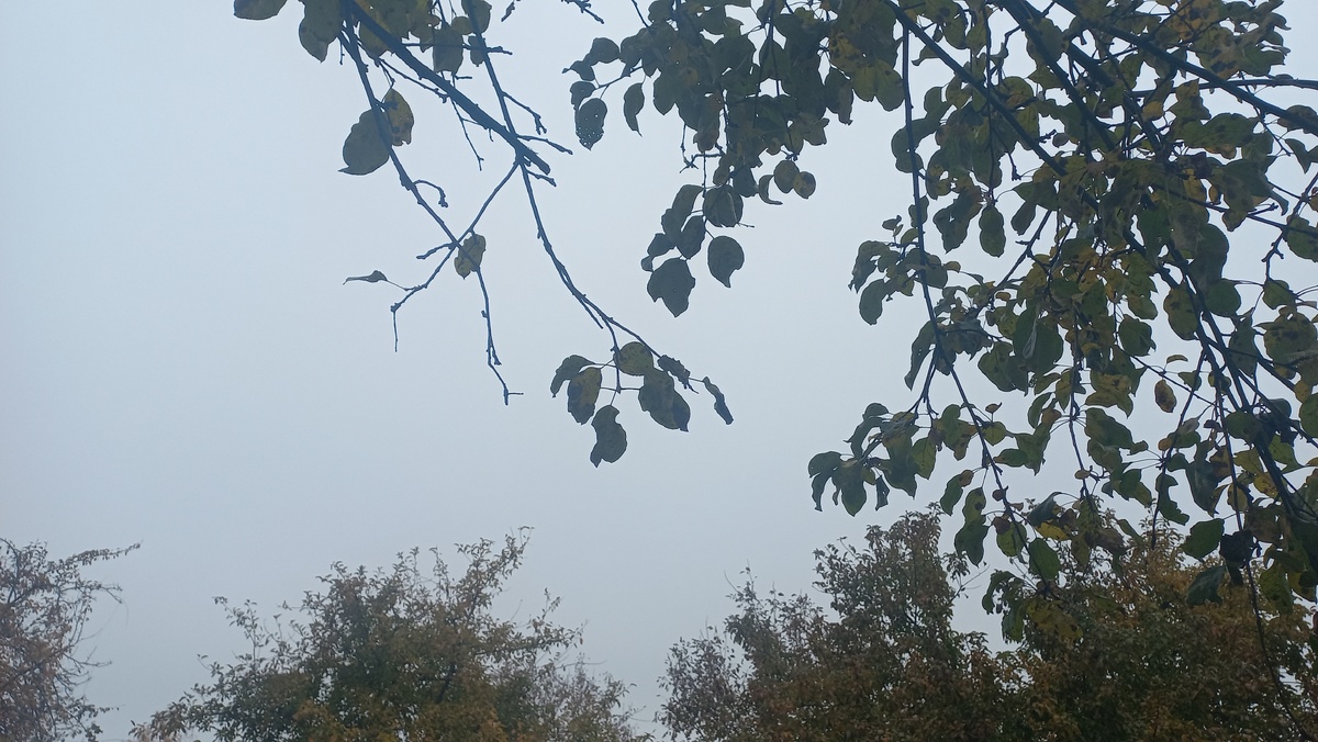 Утро туманное... Это и другие фото сделаны автором и принадлежат ему на условиях авторского права