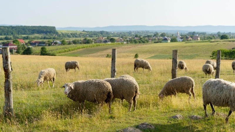 Фото: @freepik / freepik.com