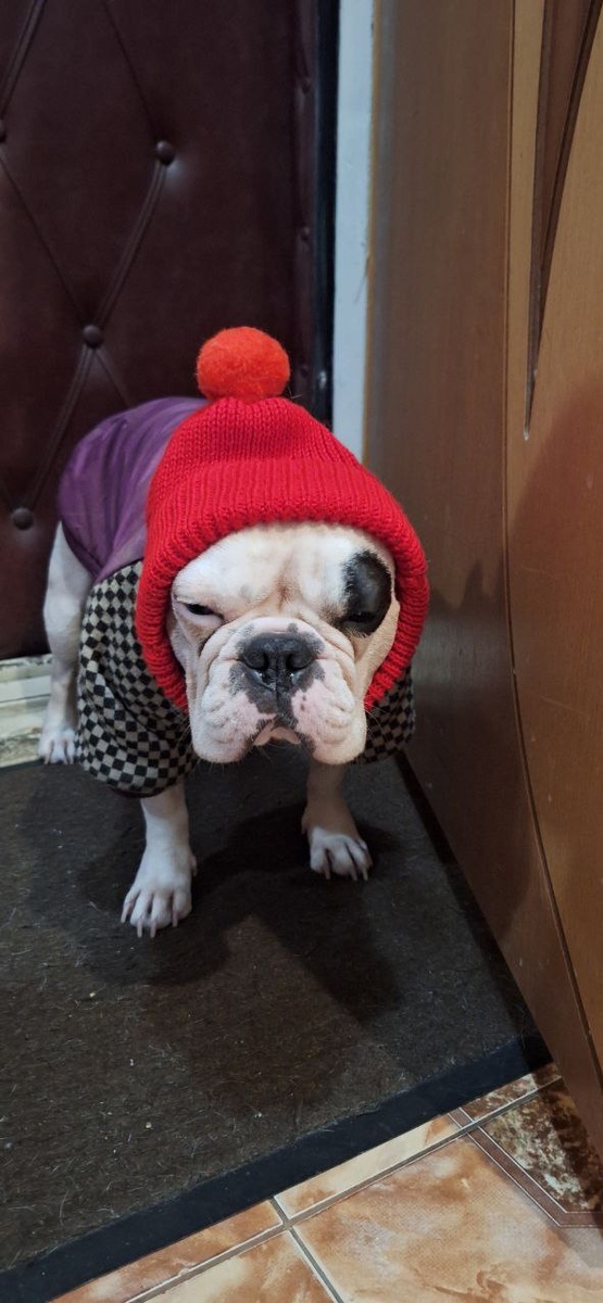 Утренние прогулки теперь такие 😴🥶😴