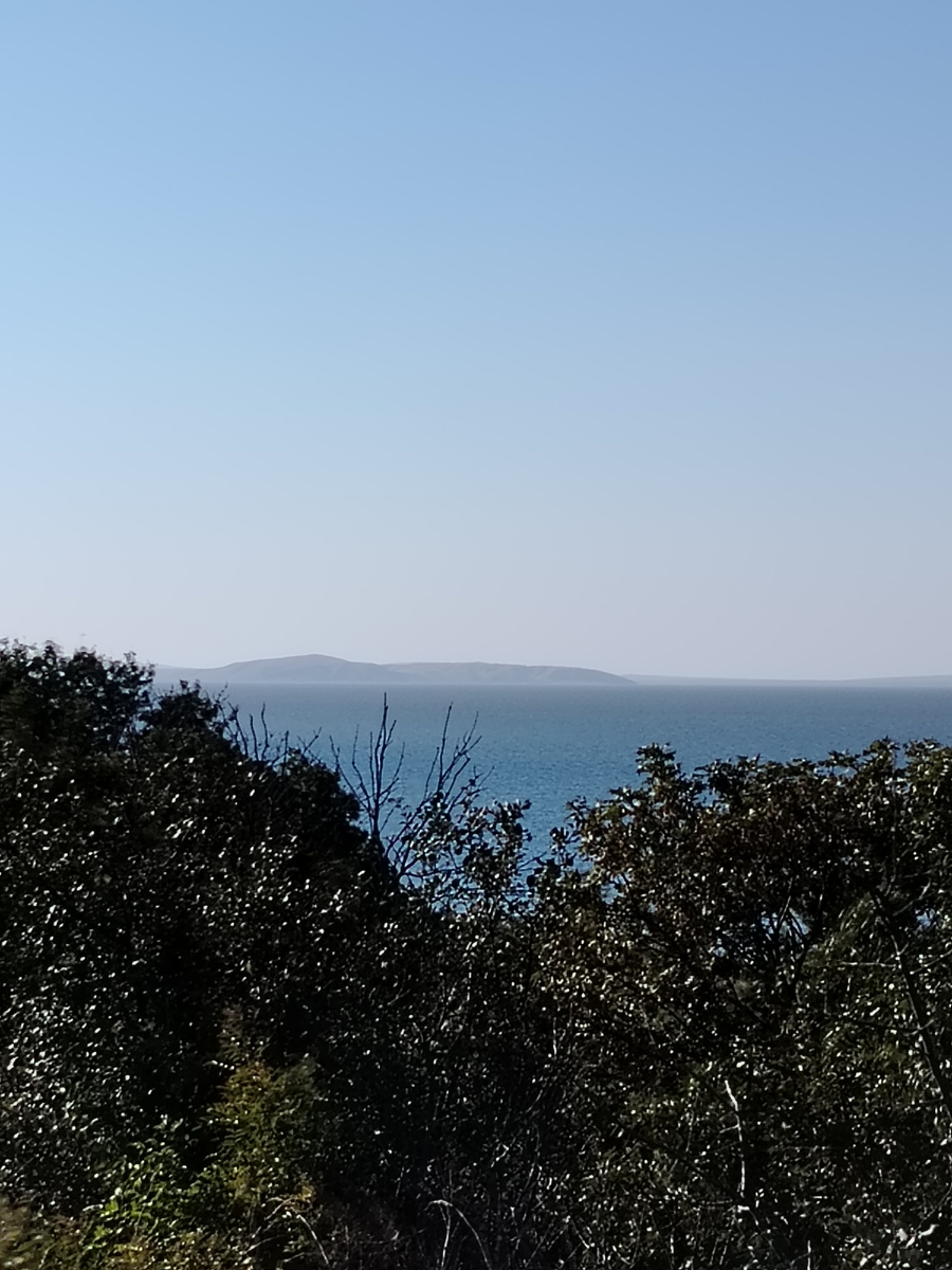 Фотография автора. Из-за кустов выглядывает лиман, а не море) 