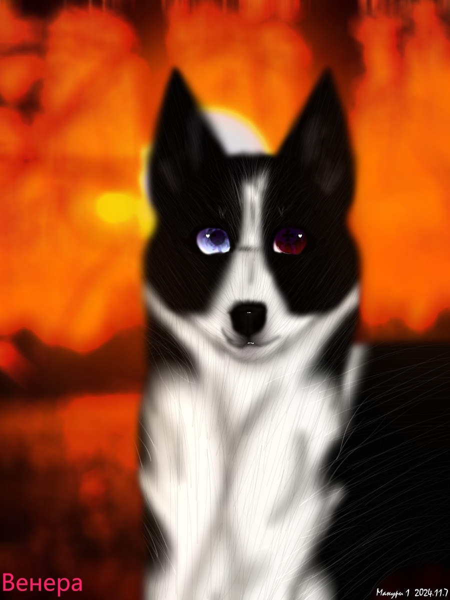 Нарисована собака Венера, которая существует в реальности