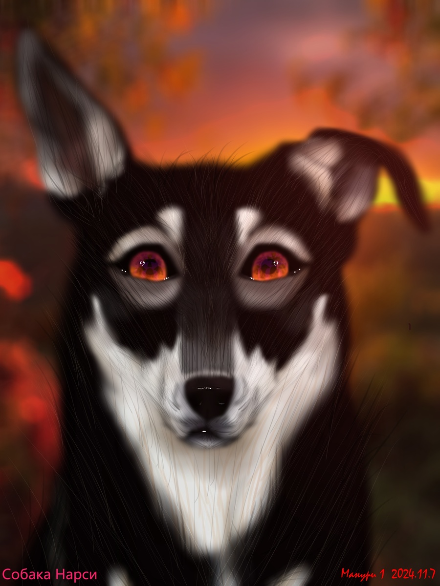 Нарисована собака Нарси, которая существует в реальности