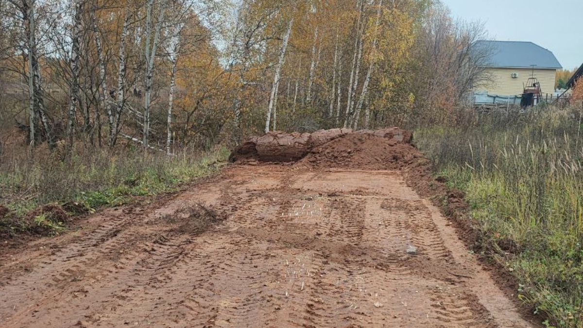 Автор фото: житель Новой Сосновки