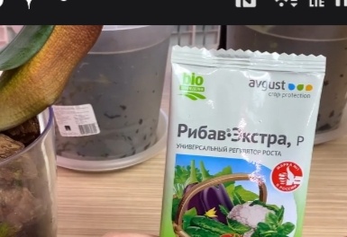 Это скрин с экрана. На фото не мои растения. У моих орхидей жёлтых листьев нет.