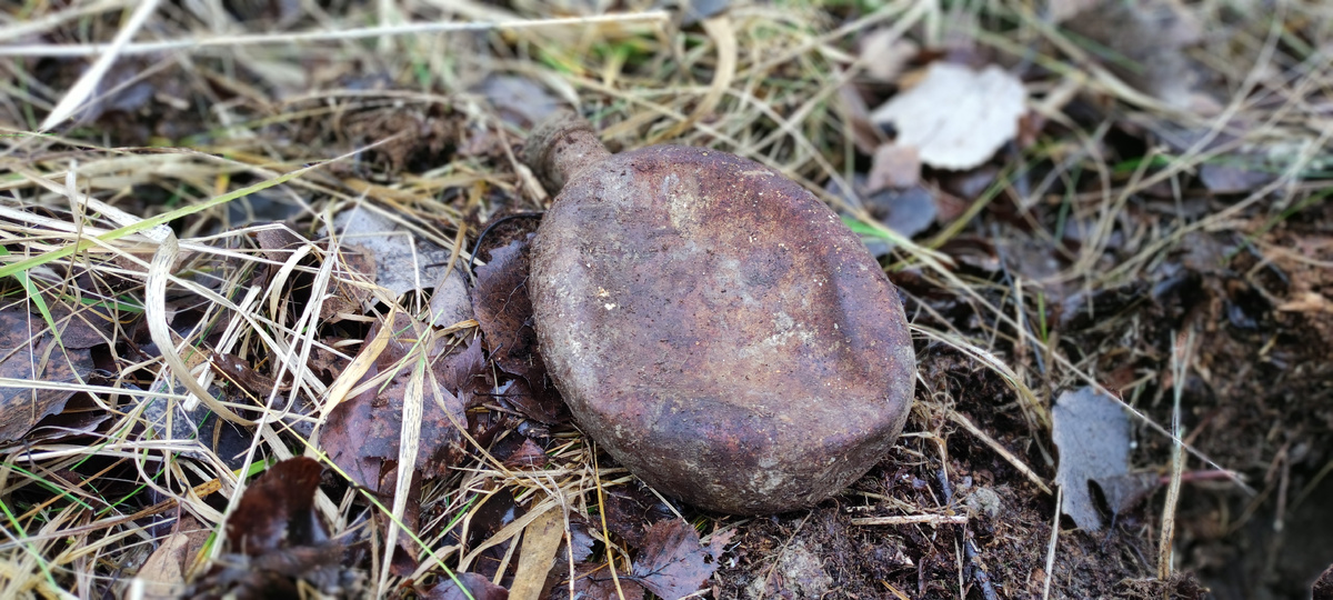 Приятная находка на фоне леса.....Позвольте представить немецкая фляга 