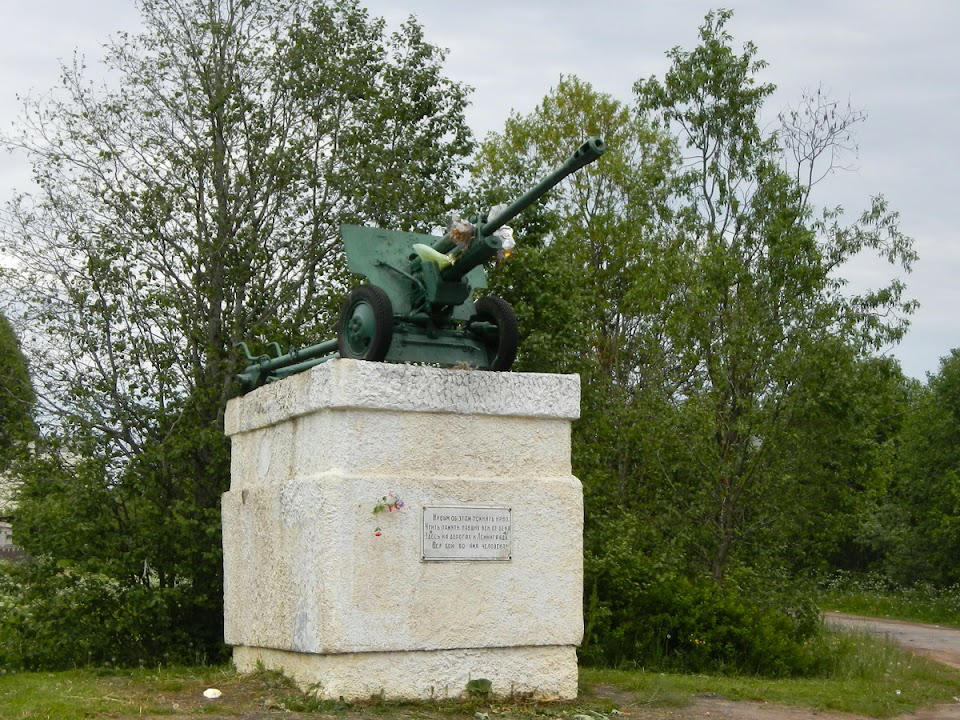 Малая Вишера. Фото Google.Earth