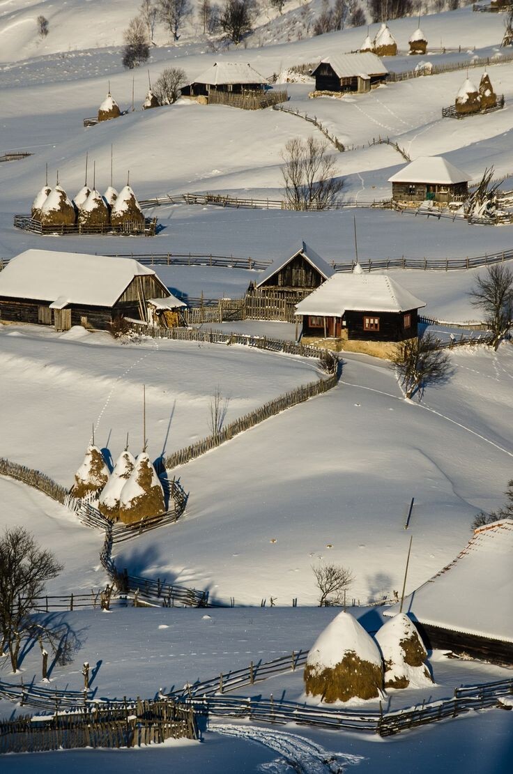 Яндекс картинки 