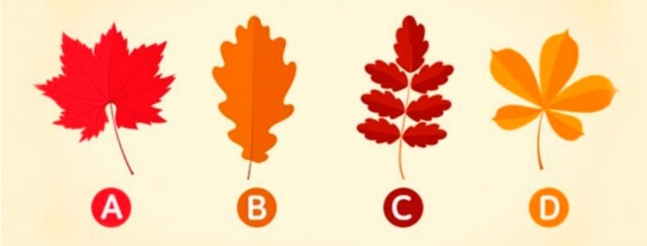 Изображение взято из открытых источников интернета в иллюстративных целях 