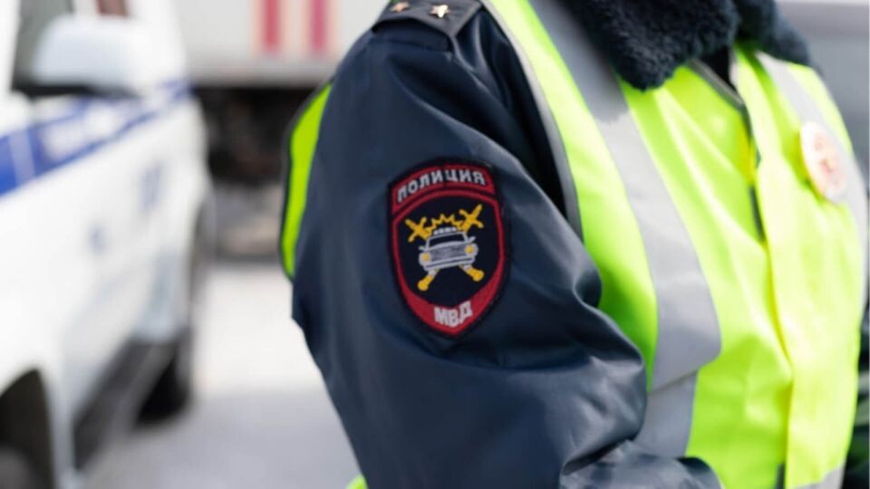    ГИБДД. Источник: Анна Меньшикова