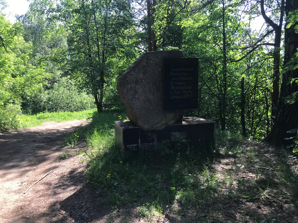 02 июня 2024 09:38