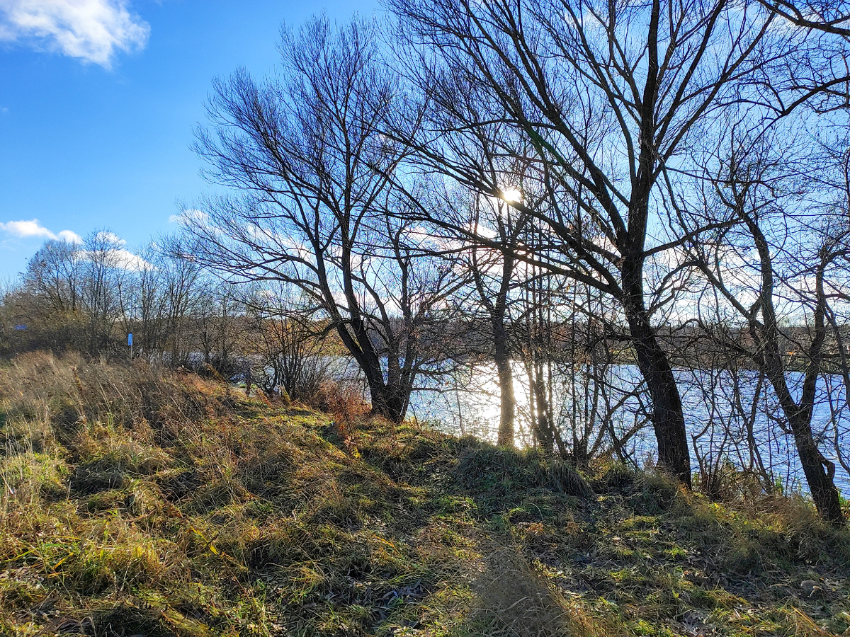 Вдоль Москва-реки