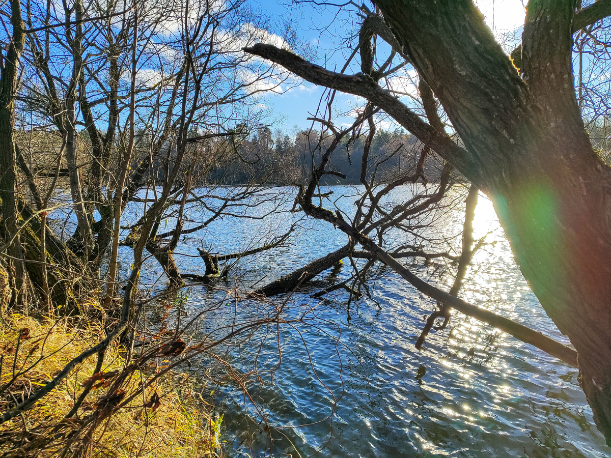 Вдоль Москва-реки