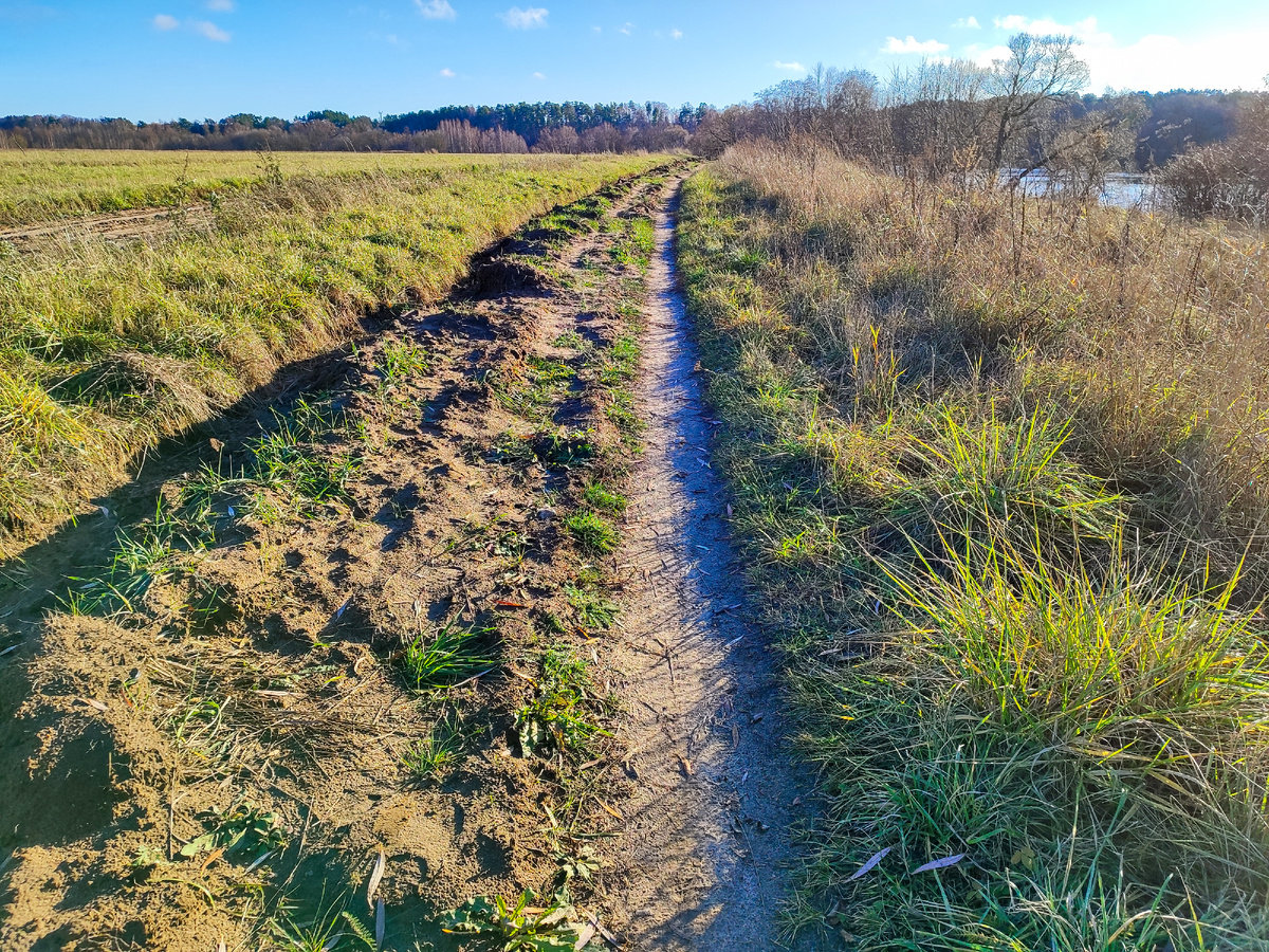 Колея вдоль Москва-реки