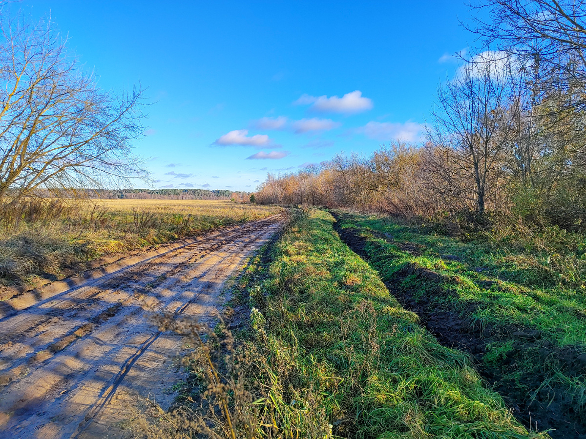 Здесь был трактор