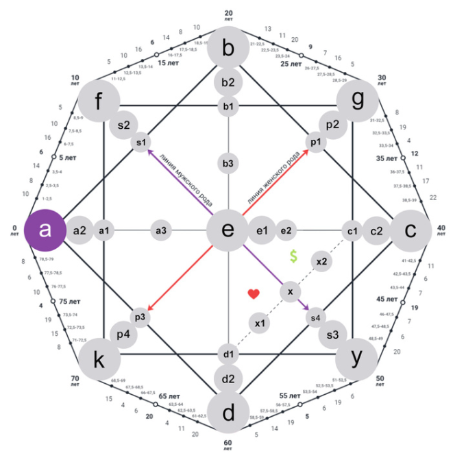 Здесь находится точка портрета⬆️