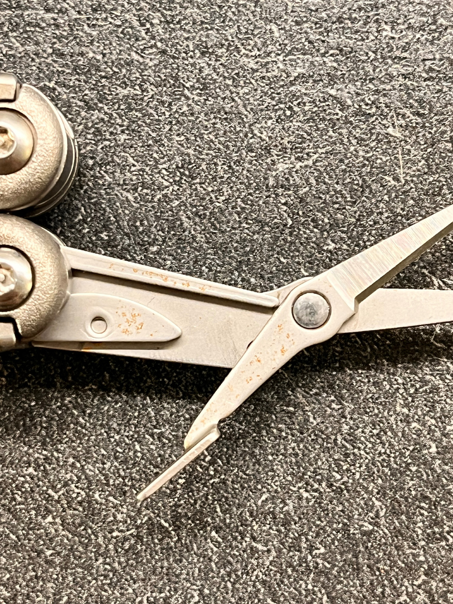 Запечатлел самый большой очаг