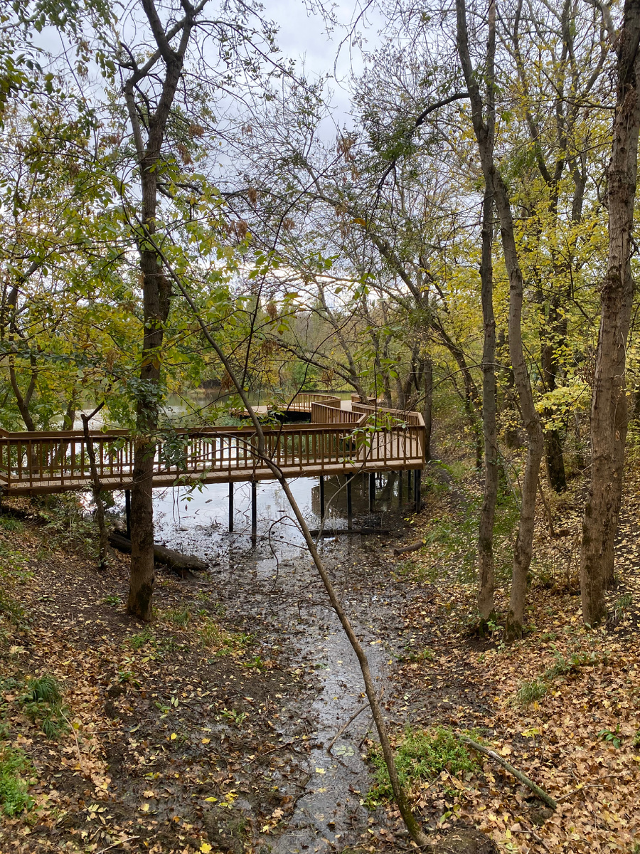 Просто красивая осень