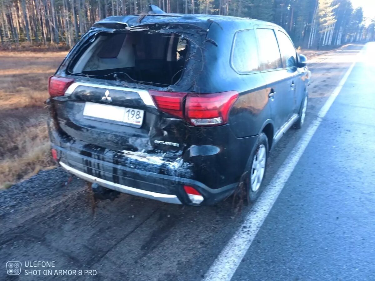     Источник: ГКУ РК «ОПС по Муезерскому району»
