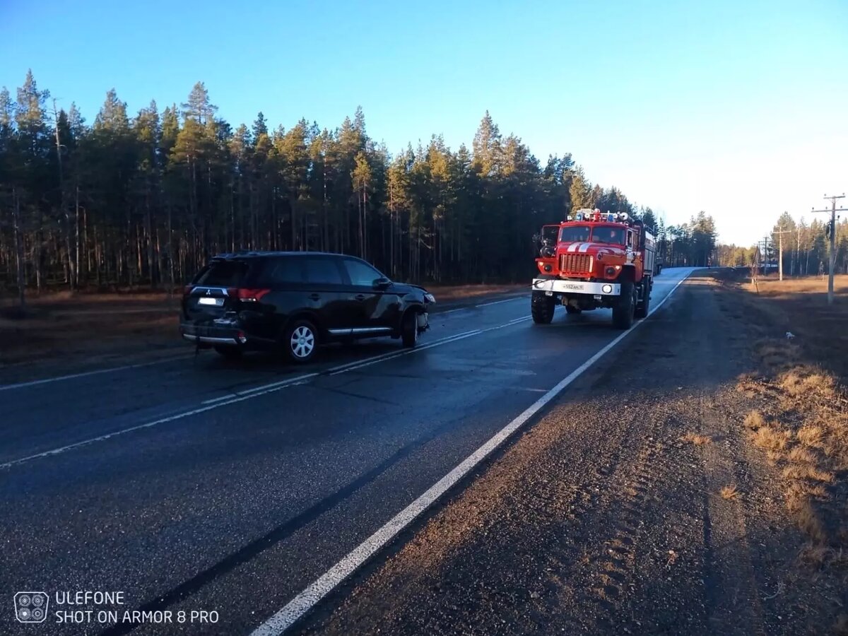     Источник: ГКУ РК "ОПС по Муезерскому району"