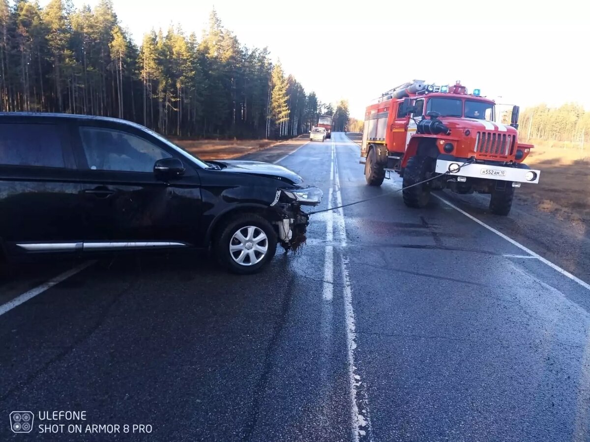     Источник: ГКУ РК "ОПС по Муезерскому району"