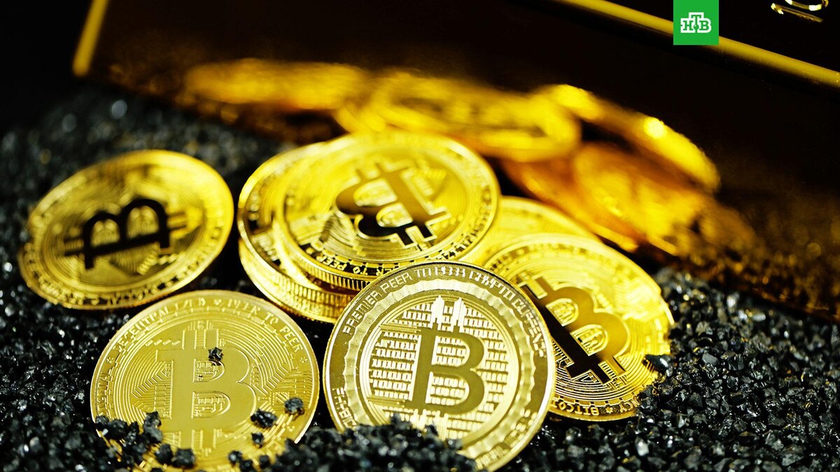    Фото: Kanchanara / unsplash.com