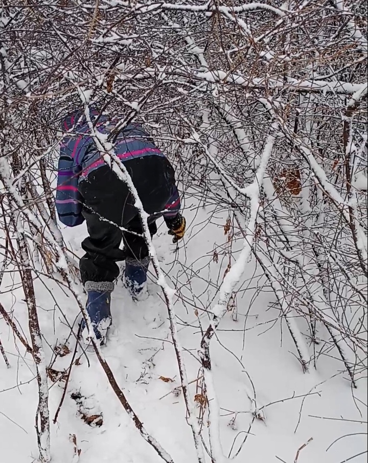 Рыжее пятно это кот. А космонавт это я.