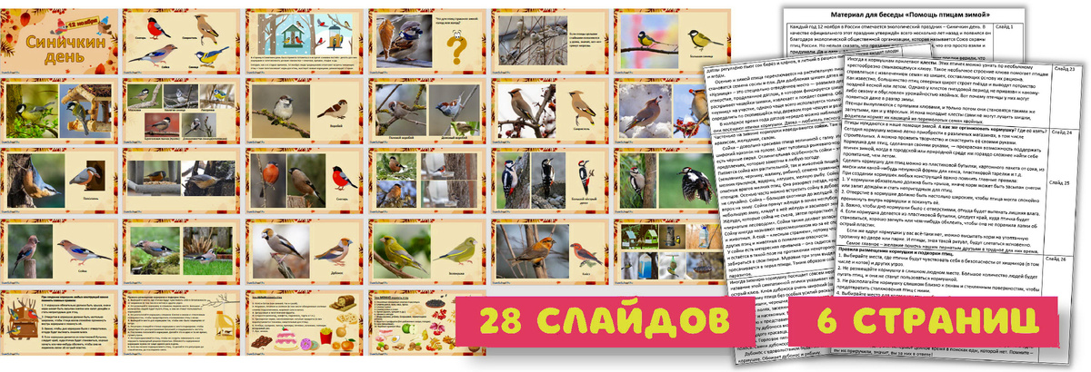 Файлы сценария беседы про птичек