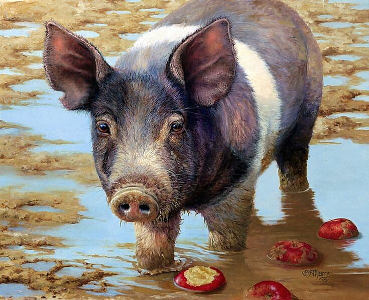 Художница Бонни Маррис "Поросёнок и яблоки"