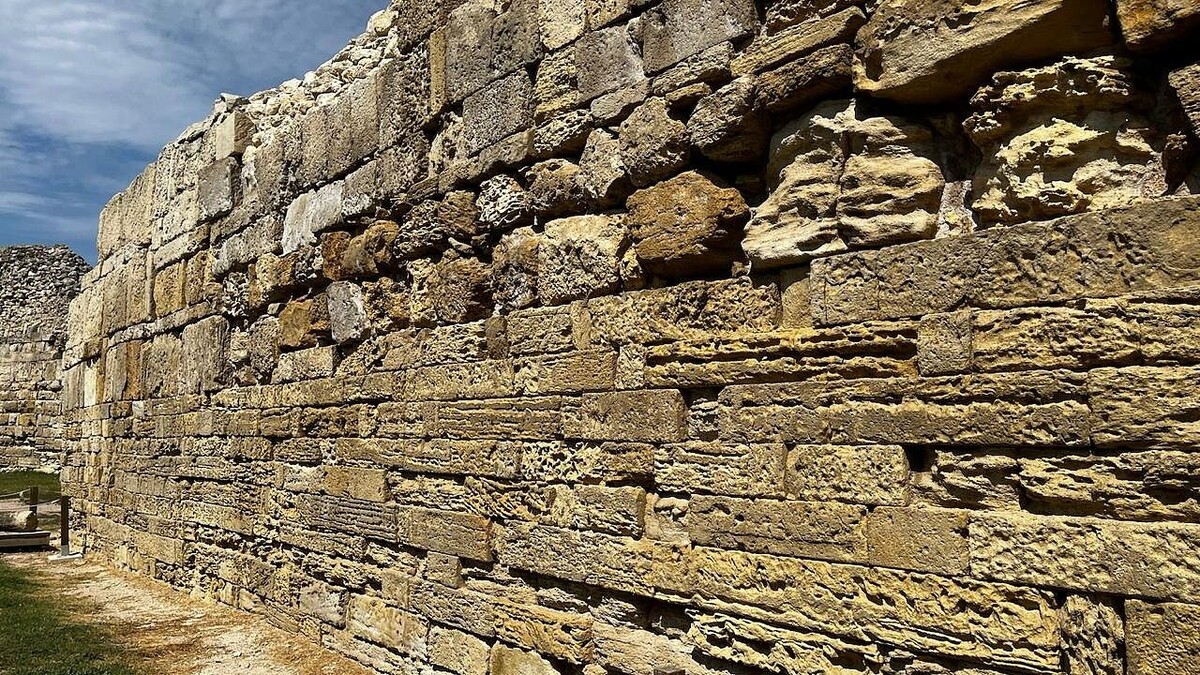    Фото: архив телеканала «Краснодар»