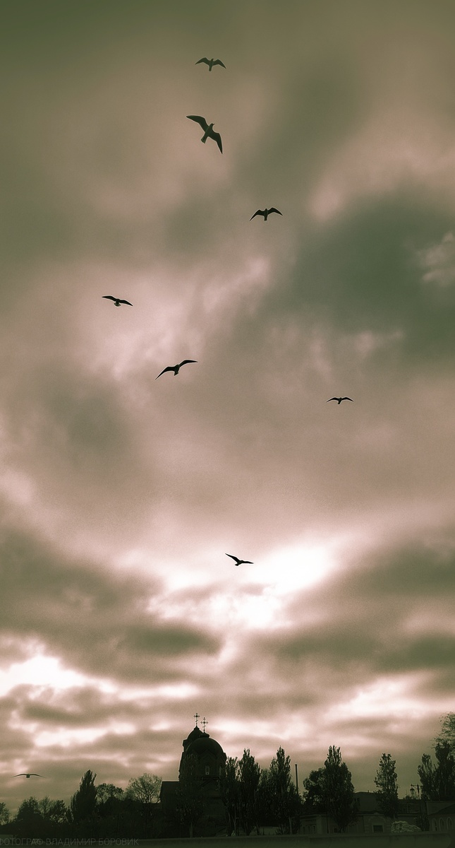 Фото Евпатории 