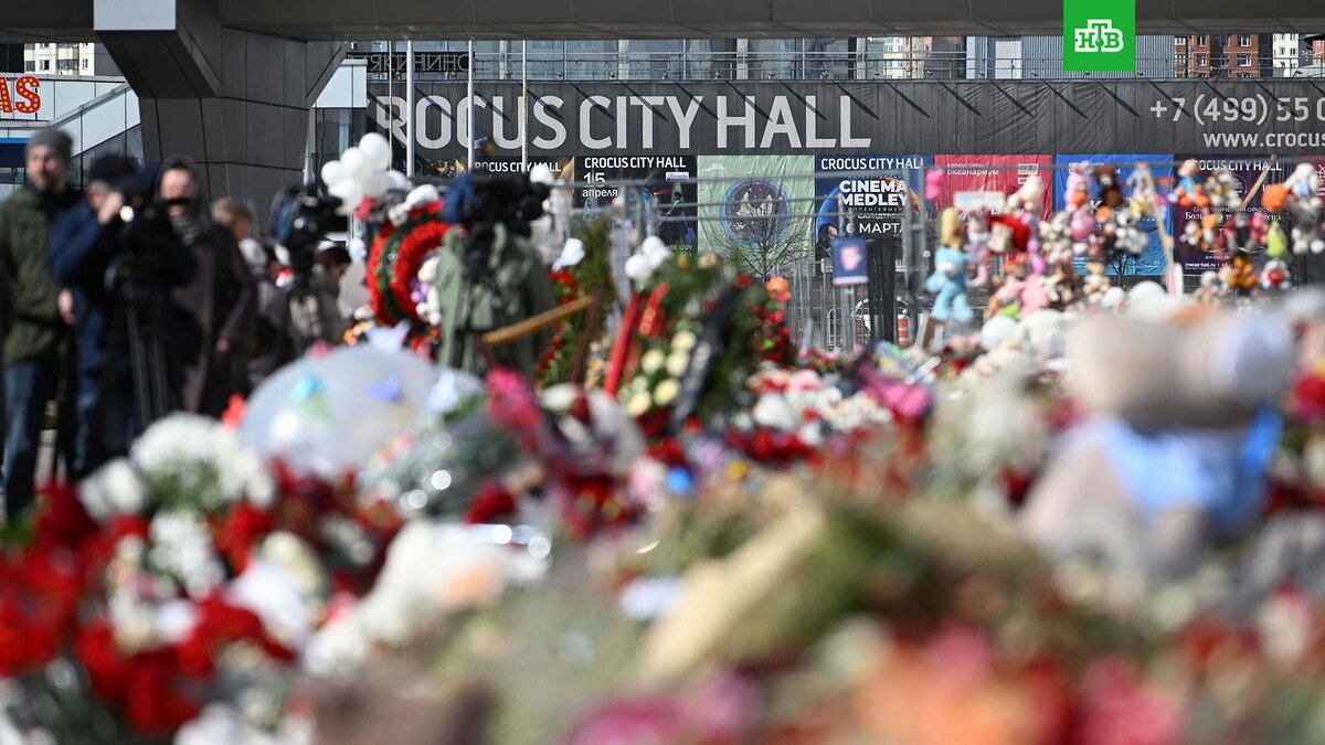    Фото: РИА Новости © 2024, Кристина Кормилицына