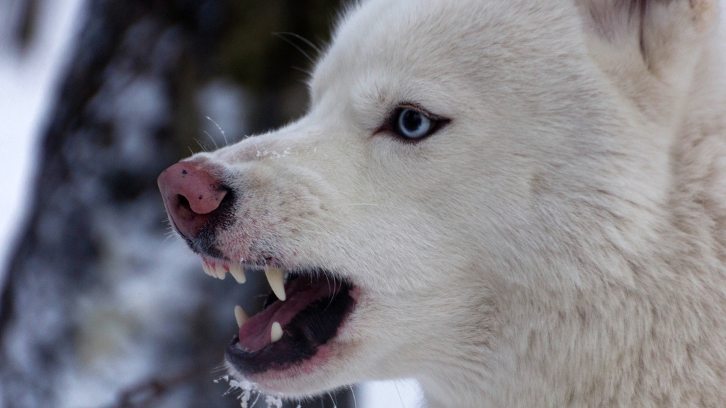    Фото: Комсомольская Правда/Globallookpress.
