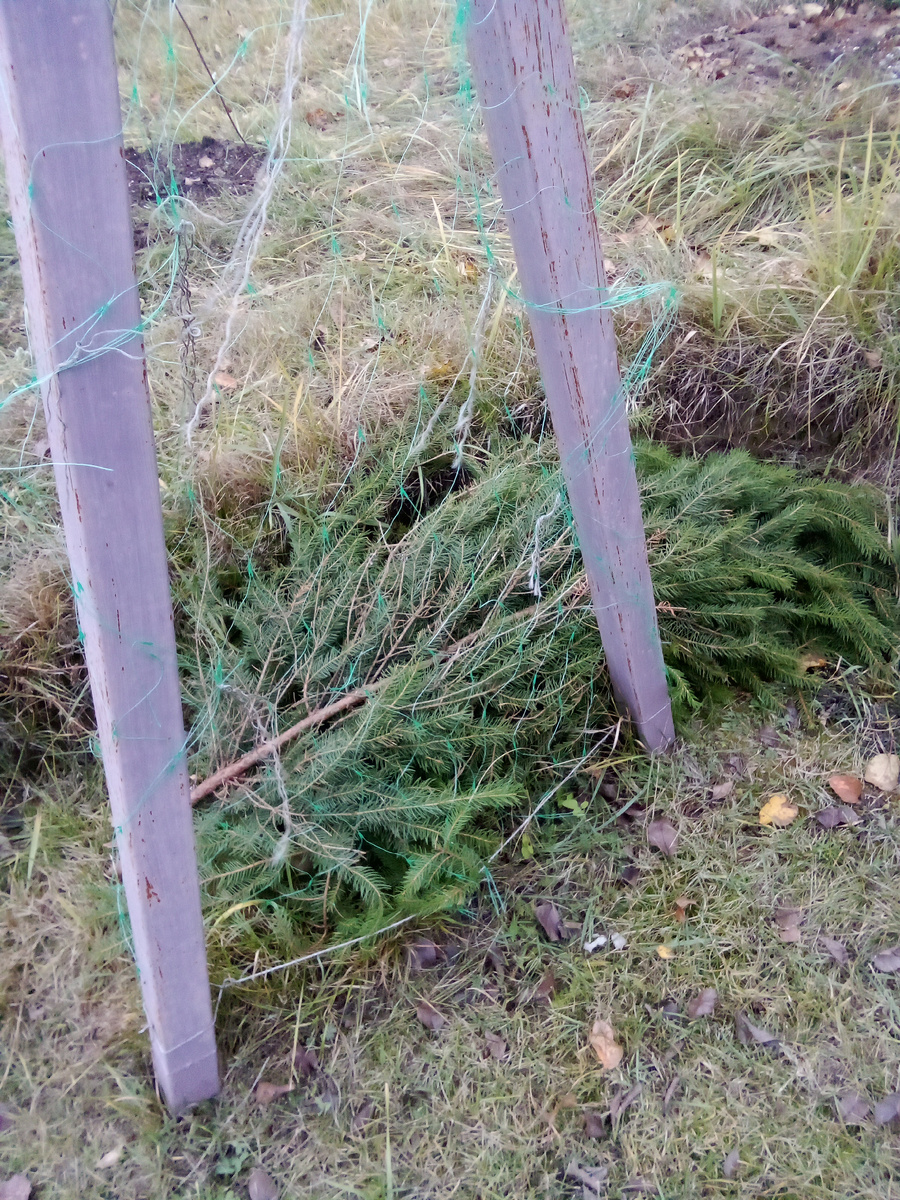 В статье все фото авторские.