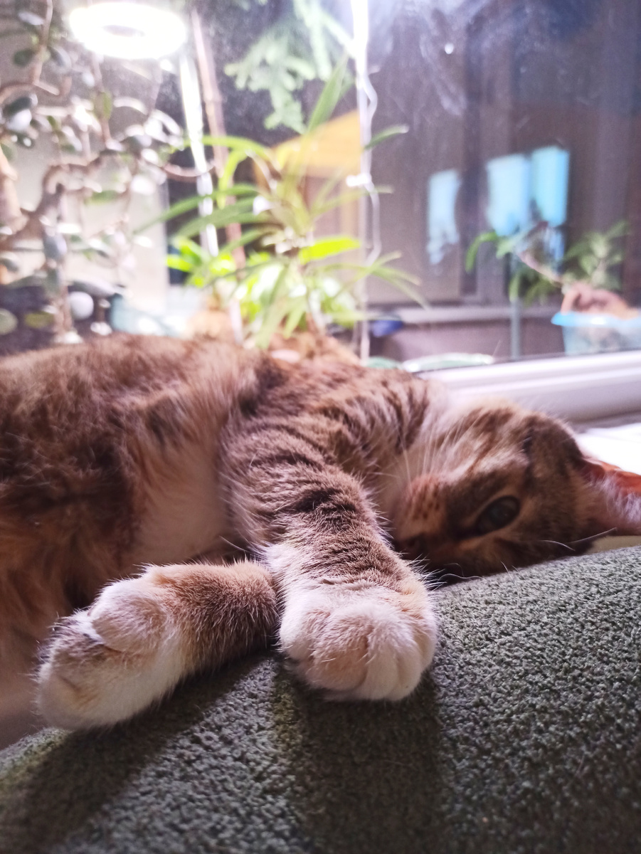 Иногда подсветка радует не только растения, но на ночь ее необходимо выключать. 