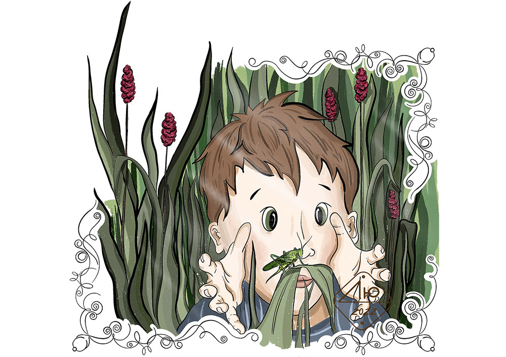 Васильковое королевство (Сказки из сундучка)