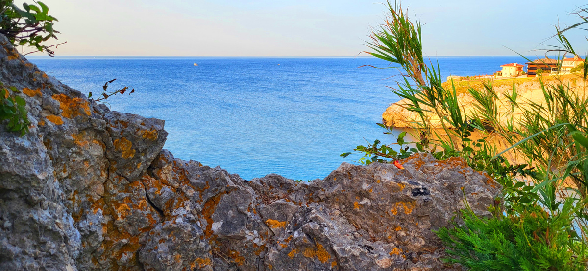 Фото принадлежит автору канала.