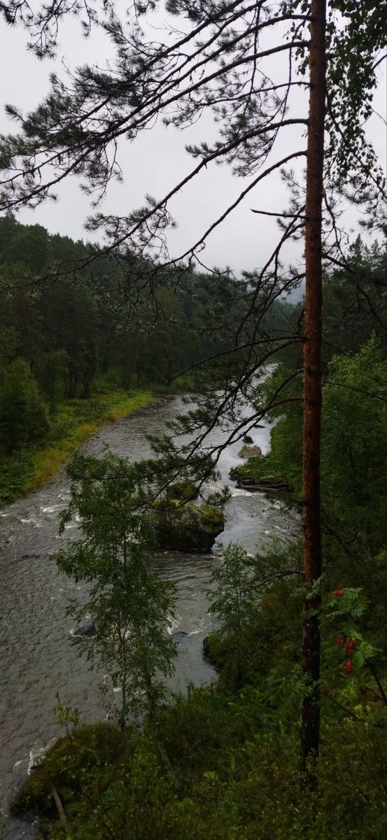 Вид на реку Сема со смотровой площадки. Горно-Алтайский ботанический сад