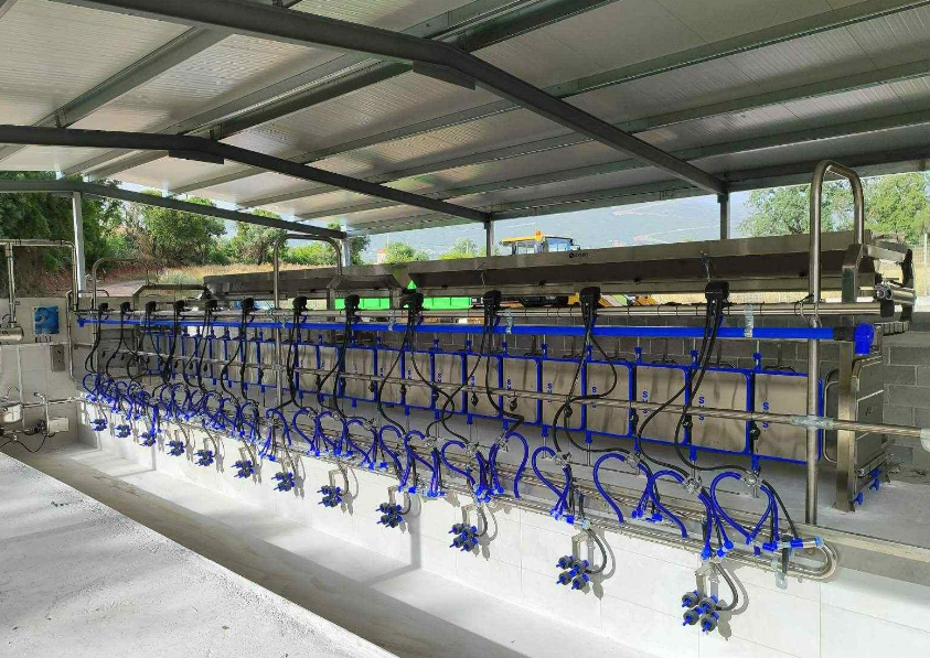 Доильный зал с быстрым выходом для овец Sylco Hellas Люкс из нержавеющей стали