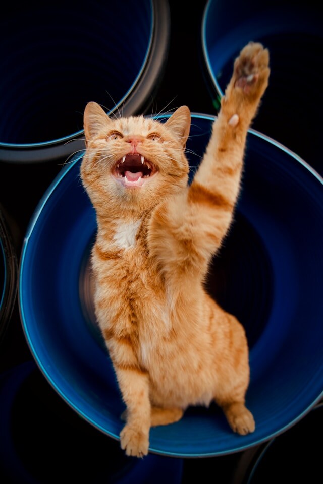 Photo by Alvan Nee on Unsplash