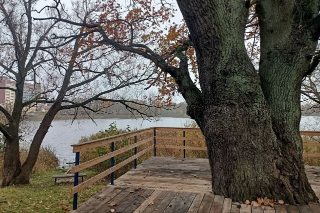   Фото из архива Калининград.Ru