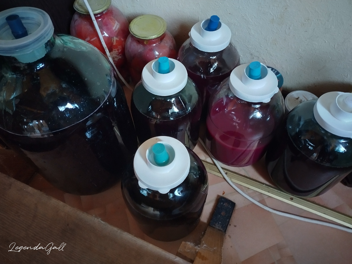 Это все первое вино из Молдовы