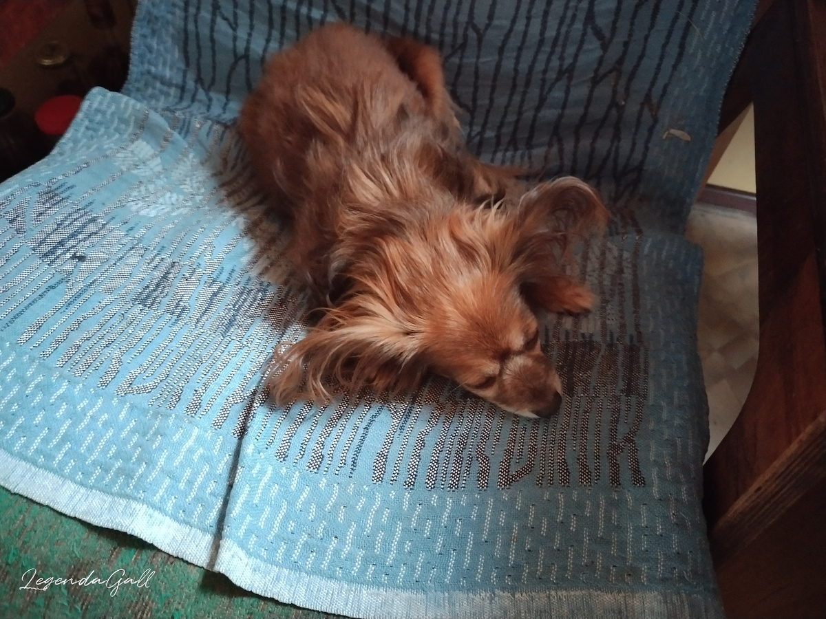 Ирма охраняет богаСьтво ))